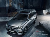 2014 Mercedes GL 350 258 BG 4MATIC 7G-Tronic (4x4) galeri küçük görseli 3