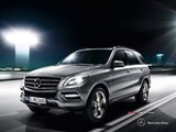 2014 Mercedes ML 250 204 BG 4MATIC 7G-Tronic (4x4) galeri küçük görseli 6