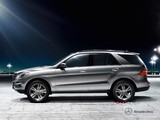 2014 Mercedes ML 250 204 BG 4MATIC 7G-Tronic (4x4) galeri küçük görseli 8
