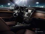 2014 Mercedes ML 250 204 BG 4MATIC 7G-Tronic (4x4) galeri küçük görseli 11
