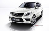 2014 Mercedes ML 350 258 BG 4MATIC 7G-Tronic (4x4) galeri küçük görseli 2