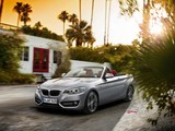 2015 BMW 2 Serisi 218i Cabrio 1.5 136 BG galeri küçük görseli 5