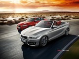 2015 BMW 2 Serisi 218i Cabrio 1.5 136 BG galeri küçük görseli 7