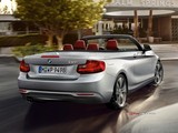 2015 BMW 2 Serisi 218i Cabrio 1.5 136 BG galeri küçük görseli 3
