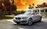 2015 BMW 2 Serisi 218i Cabrio 1.5 136 BG galeri küçük görseli 17