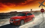 2015 BMW 2 Serisi 218i Coupe 1.5 136 BG Otomatik galeri küçük görseli 2