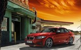 2015 BMW 2 Serisi 218i Coupe 1.5 136 BG Otomatik galeri küçük görseli 5