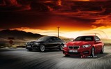 2015 BMW 2 Serisi 218i Coupe 1.5 136 BG Otomatik galeri küçük görseli 11