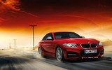 2015 BMW 2 Serisi 218i Coupe 1.5 136 BG Otomatik galeri küçük görseli 8