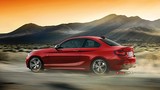 2015 BMW 2 Serisi 218i Coupe 1.5 136 BG Otomatik galeri küçük görseli 14