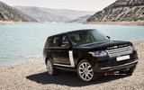 2015 Land Rover Range Rover 3.0 TDV6 258 BG Otomatik Autobiography (4x4) galeri küçük görseli 5