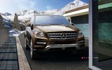 2015 Mercedes ML 350 BlueTEC 3.0 258 BG 4MATIC 7G-Tronic (4x4) galeri küçük görseli 11