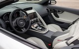 2016 Jaguar F-Type Convertible S 3.0 V6 380 PS Manuel galeri küçük görseli 14