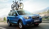 2016 Subaru Forester 2.0 TD 148 PS CVT AWD Sport (4x4) galeri küçük görseli 16