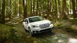 2016 Subaru Outback 2.0D 150 PS Limited (4x4) galeri küçük görseli 11