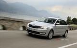 2017 Skoda Rapid Spaceback 1.2 TSI Green Tec 110 PS Style galeri küçük görseli 10