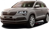 2019 Skoda Karoq 1.0 TSI 115 PS Ambition (4x2) galeri küçük görseli 1