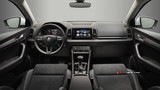 2019 Skoda Karoq 1.0 TSI 115 PS Ambition (4x2) galeri küçük görseli 14
