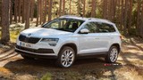 2019 Skoda Karoq 1.0 TSI 115 PS Ambition (4x2) galeri küçük görseli 13