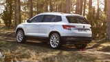 2019 Skoda Karoq 1.0 TSI 115 PS Ambition (4x2) galeri küçük görseli 4