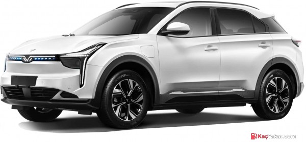2024 Hozon Neta U 160 HP (4x2)
