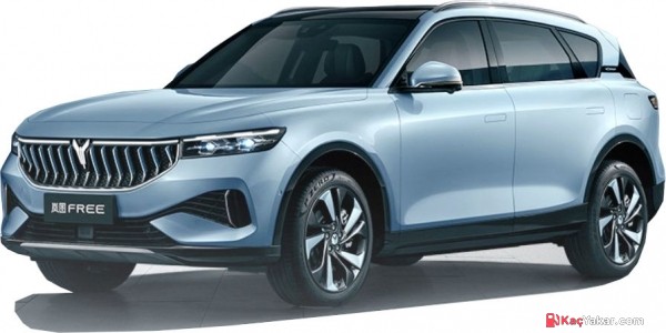 2024 Voyah Free High 489 HP (4x4)